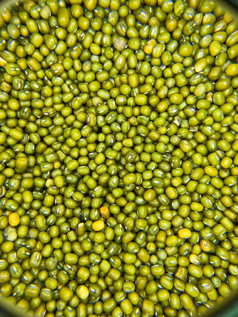 Fertilizante NPK Premium
